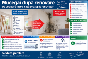Mucegai după renovare – pete de mucegai pe pereți și colțuri
